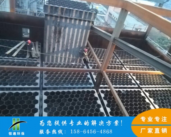 蘑菇TV官方在线观看
