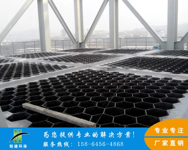电除尘蘑菇TV官方在线观看